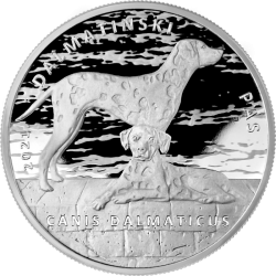 Jest to pierwsza srebrna moneta bulionowa Dalmatian Dog wybita przez mennicę Croatian Mint. Emisja ta rozpoczyna nową serię monet o nazwie Authochthonous Croatia.
Moneta w kapslu z certyfikatem