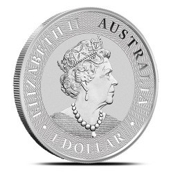 1-uncjowa moneta o nominale 1$ KANGAROO wydana w Australii.
Monety z różnych roczników w stanach okołomenniczych