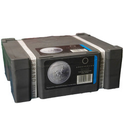 Krugerrand 2025 -  pakiet 500 uncji srebra