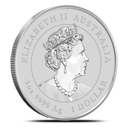 1-uncjowa moneta Rok Myszy wydana w Australii w 2020 roku.
Monety w stanie menniczym wysyłane w kapslach.