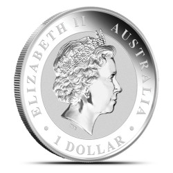 1-uncjowa moneta w kapslu o nominale 1$ KOALA wydana w Australii w 2014 roku.
Monety w stanie menniczym.