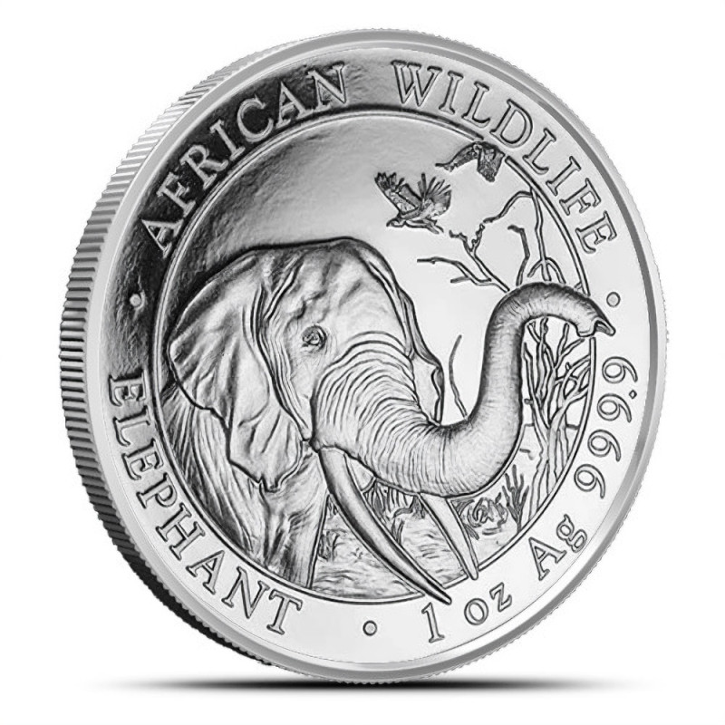 1-uncjowa moneta o nominale 100 shillings ELEPHANT wydana w Somalii w 2018 roku.
Monety w stanie menniczym.
Opakowanie: kapsel