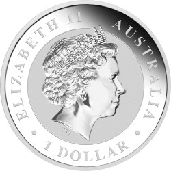 1-uncjowa moneta w kapslu o nominale 1$ KOOKABURRA wydana w Australii w 2011 roku.
Monety w stanie menniczym.
Opakowanie: kapsel
