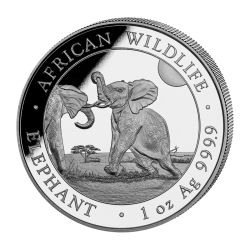 1-uncjowa moneta o nominale 100 shillings ELEPHANT wydana w Somalii w 2024 roku.
Monety w stanie menniczym.