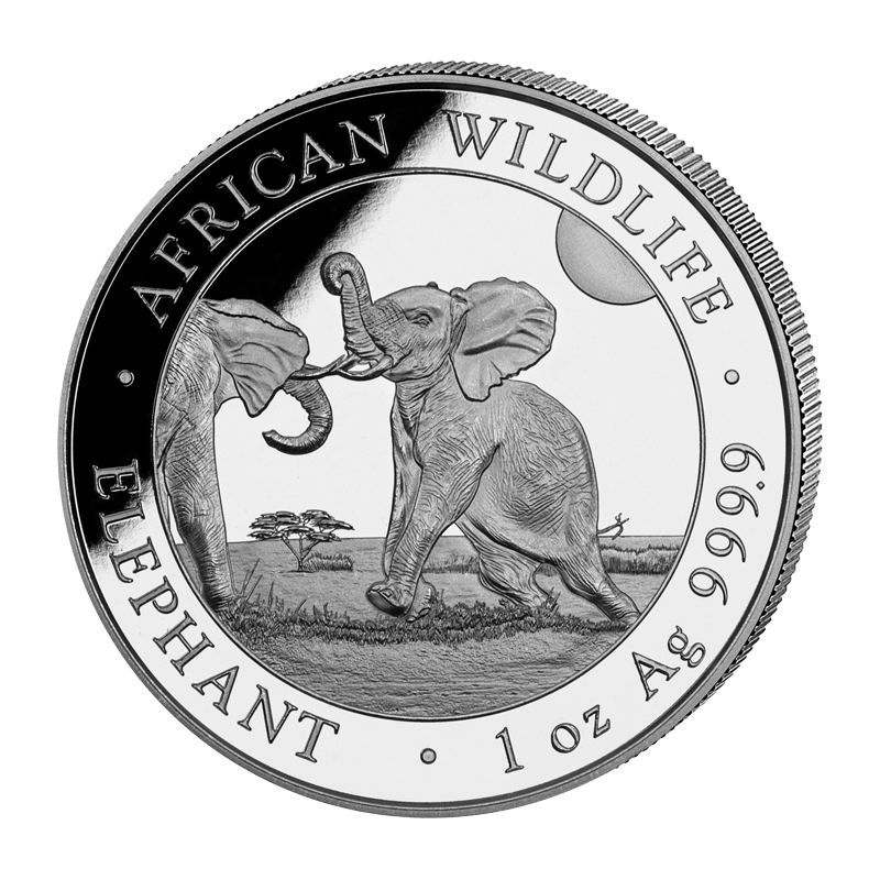 1-uncjowa moneta o nominale 100 shillings ELEPHANT wydana w Somalii w 2024 roku.
Monety w stanie menniczym.