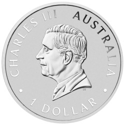 Najnowsza moneta, wydana z okazji 125. rocznicy powstania Perth Mint w 2024 roku, upamiętnia wyjątkowe wydarzenie.
Na awersie monety widnieją kangur, kukabura i koala, pięknie ułożeni wśród złotej plecionki oraz kwiatowego godła Australii. Subtelnie umieszczony napis „1899 THE PERTH MINT 2024” znajduje się na zwoju u dołu motywu, co podkreśla znaczenie mennicy. Dodatkowo, moneta zawiera także znak mennicy „P125” oraz informacje o wadze, próbie i dacie roku wybicia, dopełniając swoją wyjątkowość i wartość kolekcjonerską.