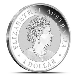 1-uncjowa moneta Wombat wydana w Australii w 2022 roku.