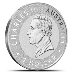 Tuba mennicza zawierająca 25 sztuk 1-uncjowych monet o nominale 1$ KANGAROO wydanych w Australii w 2026 roku.
Monety w stanie menniczym. Tuba z nienaruszonym hologramem.