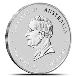 1/2-uncjowa moneta Rok Węża wydana w Australii w 2025 roku w wersji kolorowej.
Monety w stanie menniczym wysyłane w kapslach.