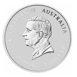 1-uncjowa moneta Rok Konia wydana w Australii w 2026 roku w wersji privy mark
Monety w stanie menniczym wysyłane w kapslach.
Limitowany nakład: 30.000 sztuk