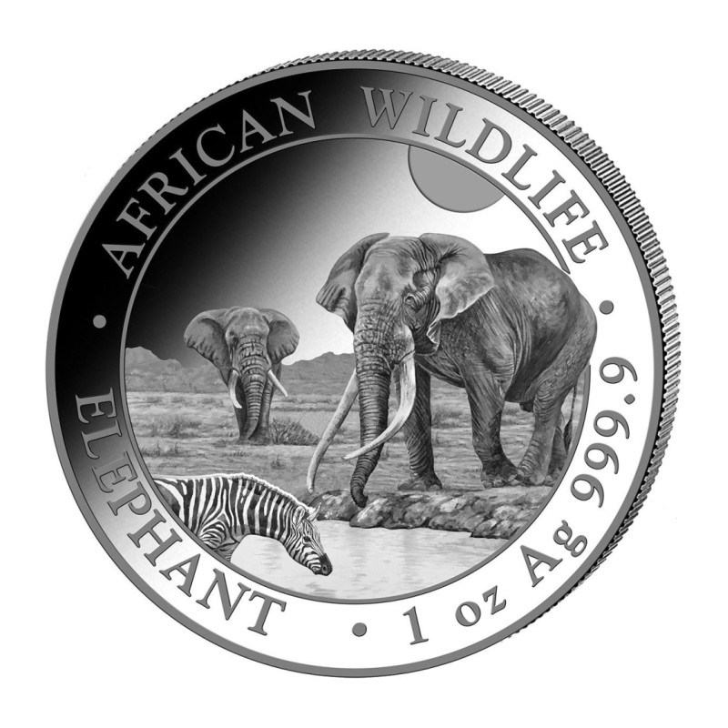 1-uncjowa moneta o nominale 100 shillings ELEPHANT wydana w Somalii w 2026 roku.
Stan menniczy
