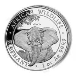 1-uncjowa moneta o nominale 100 shillings ELEPHANT wydana w Somalii w 2021 roku.
Możliwe drobne milk spoty