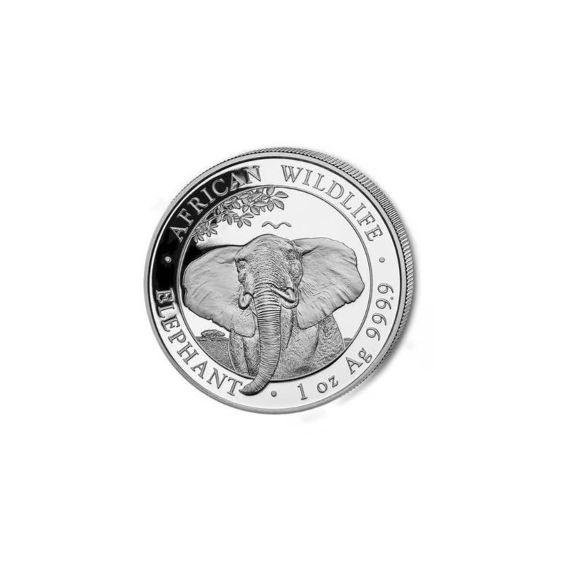 1-uncjowa moneta o nominale 100 shillings ELEPHANT wydana w Somalii w 2021 roku.
Możliwe drobne milk spoty