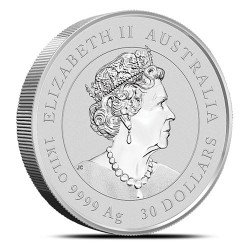 1-kilogramowa moneta Rok Bawoła wydana w Australii w 2021 roku.
Monety w stanie menniczym.